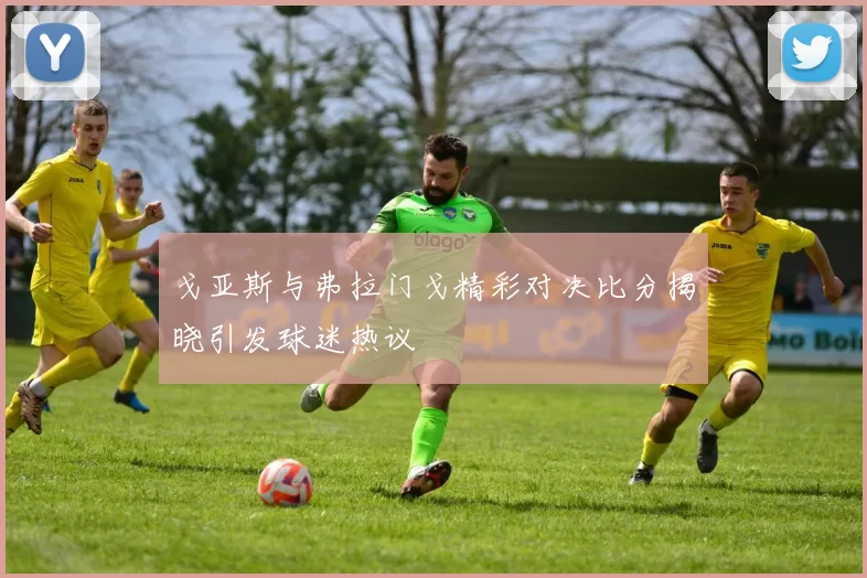 戈亚斯与弗拉门戈精彩对决比分揭晓引发球迷热议