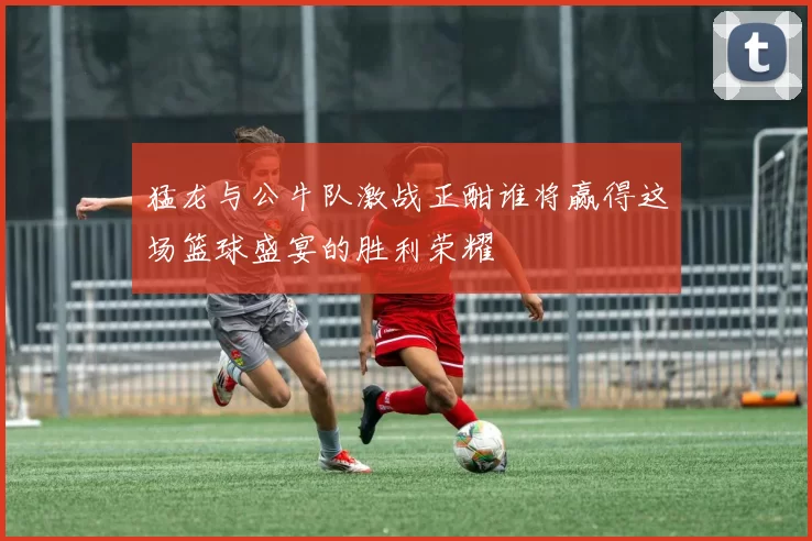 猛龙与公牛队激战正酣谁将赢得这场篮球盛宴的胜利荣耀